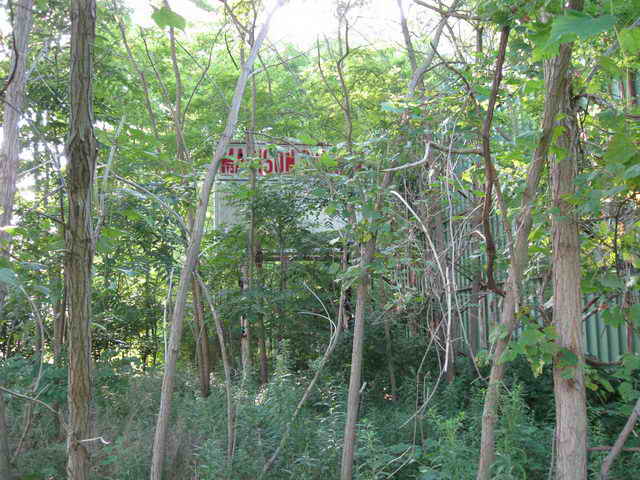 Skyway Drive-In - Some 2010 And Vintage Photos (newer photo)